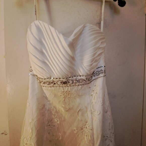 David's Bridal Wedding Dress - Picture 2 of 4